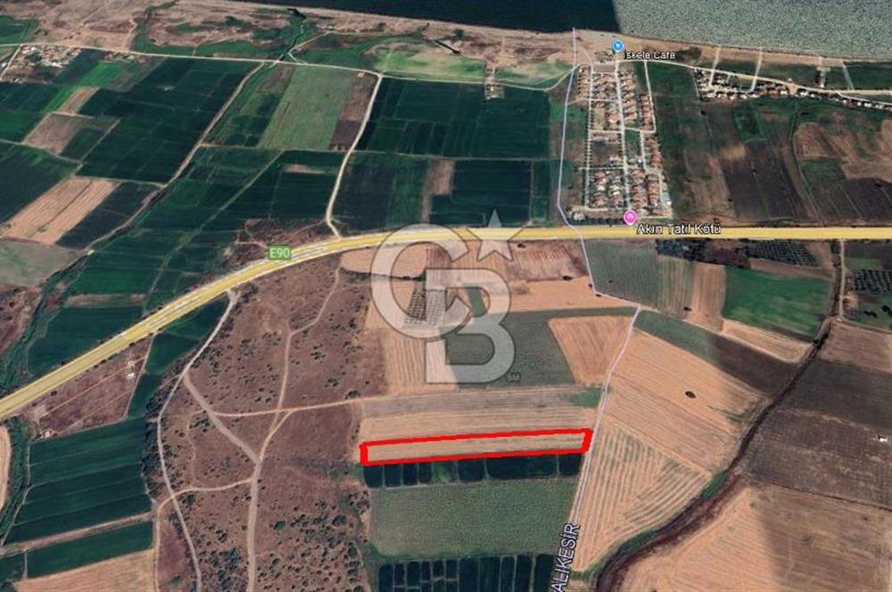 ÇANAKKALE / BİGA / KEPEKLİ KÖYÜ​ Doğayla İç İçe, Deniz Manzaralı ve Yatırıma Uygun Tarla Fırsatı!