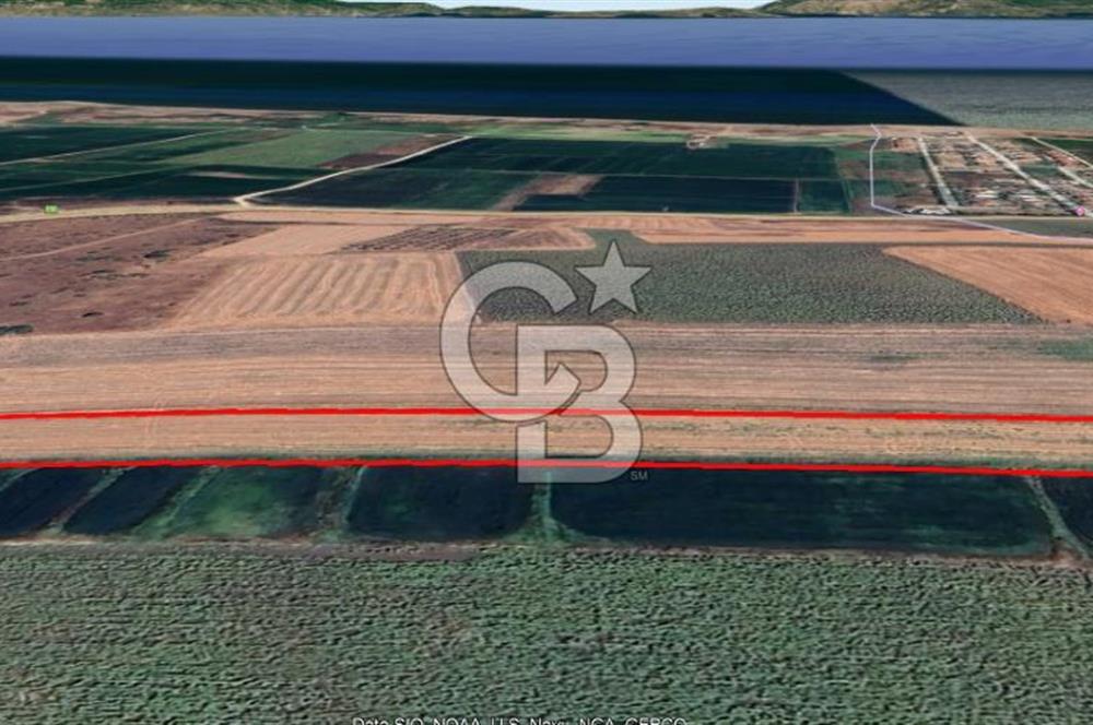 ÇANAKKALE / BİGA / KEPEKLİ KÖYÜ​ Doğayla İç İçe, Deniz Manzaralı ve Yatırıma Uygun Tarla Fırsatı!
