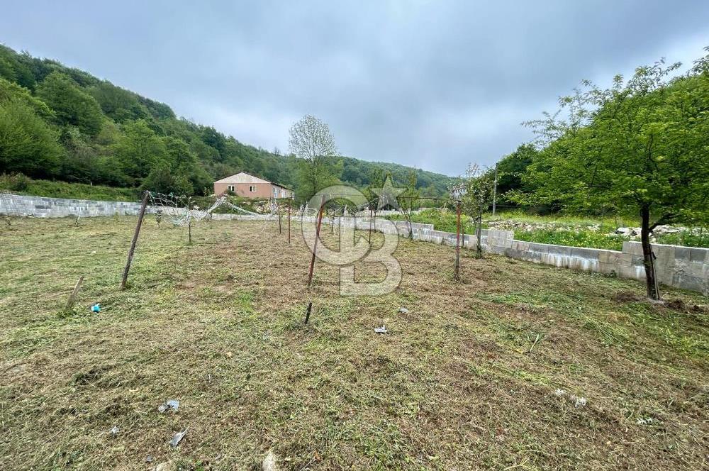 Kocaeli Kandıra'da Satılık 1762 M2 Tarla+Müstakil Ev