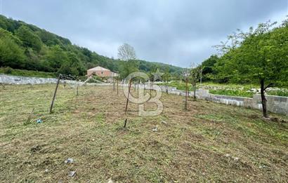Kocaeli Kandıra'da Satılık 1762 M2 Tarla+Müstakil Ev