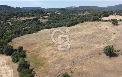 ÇANAKKALE LAPSEKİ HACIGELEN YATIRIMLIK 23.000 M2 TARLA BADEMLİK