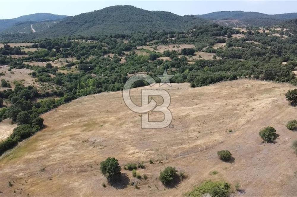 ÇANAKKALE LAPSEKİ HACIGELEN YATIRIMLIK 23.000 M2 TARLA BADEMLİK