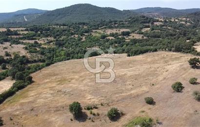 ÇANAKKALE LAPSEKİ HACIGELEN YATIRIMLIK 23.000 M2 TARLA BADEMLİK
