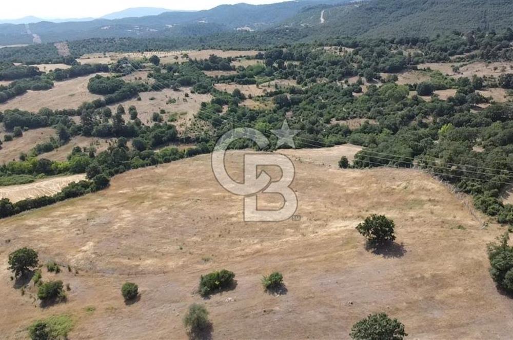 ÇANAKKALE LAPSEKİ HACIGELEN YATIRIMLIK 23.000 M2 TARLA BADEMLİK