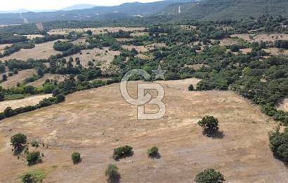 ÇANAKKALE LAPSEKİ HACIGELEN YATIRIMLIK 23.000 M2 TARLA BADEMLİK