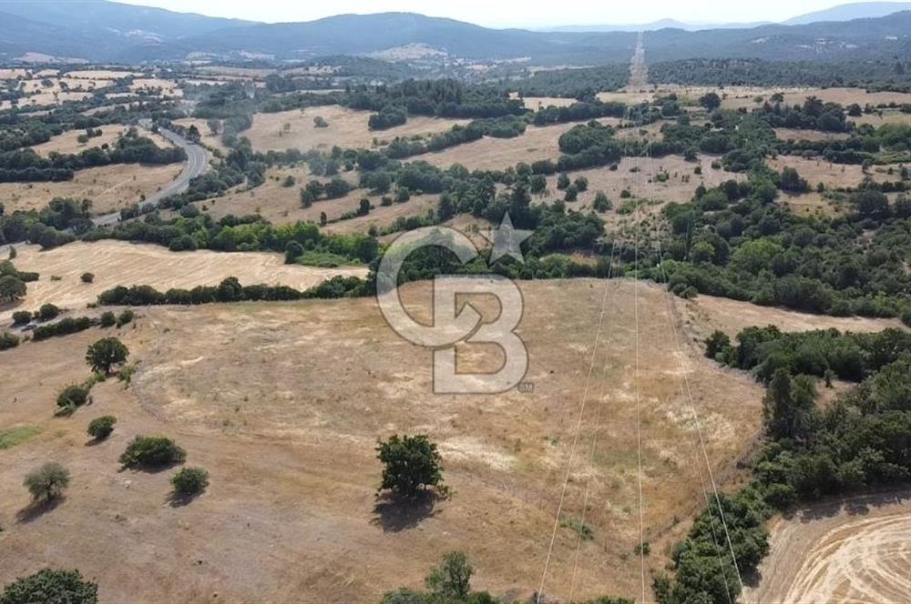 ÇANAKKALE LAPSEKİ HACIGELEN YATIRIMLIK 23.000 M2 TARLA BADEMLİK