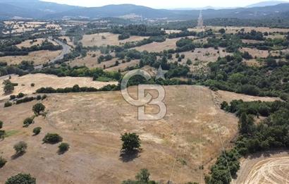ÇANAKKALE LAPSEKİ HACIGELEN YATIRIMLIK 23.000 M2 TARLA BADEMLİK