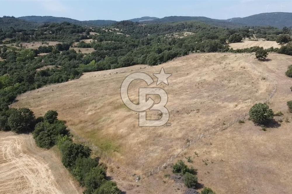 ÇANAKKALE LAPSEKİ HACIGELEN YATIRIMLIK 23.000 M2 TARLA BADEMLİK