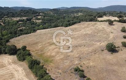 ÇANAKKALE LAPSEKİ HACIGELEN YATIRIMLIK 23.000 M2 TARLA BADEMLİK