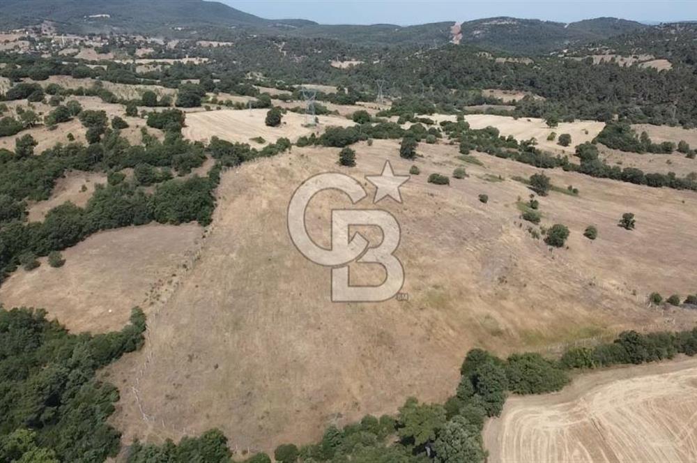 ÇANAKKALE LAPSEKİ HACIGELEN YATIRIMLIK 23.000 M2 TARLA BADEMLİK
