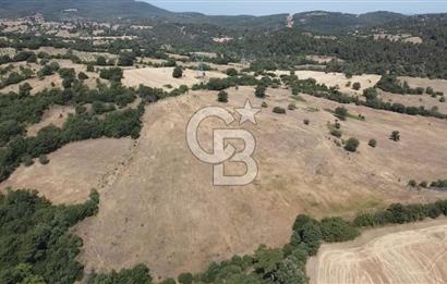 ÇANAKKALE LAPSEKİ HACIGELEN YATIRIMLIK 23.000 M2 TARLA BADEMLİK