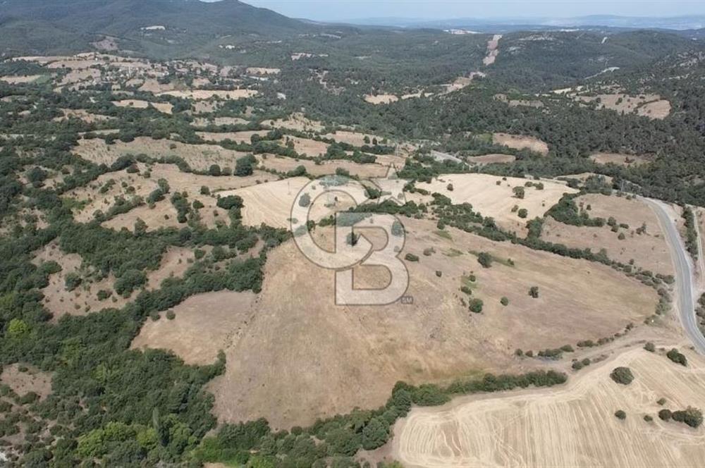 ÇANAKKALE LAPSEKİ HACIGELEN YATIRIMLIK 23.000 M2 TARLA BADEMLİK