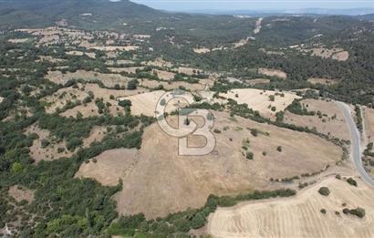 ÇANAKKALE LAPSEKİ HACIGELEN YATIRIMLIK 23.000 M2 TARLA BADEMLİK