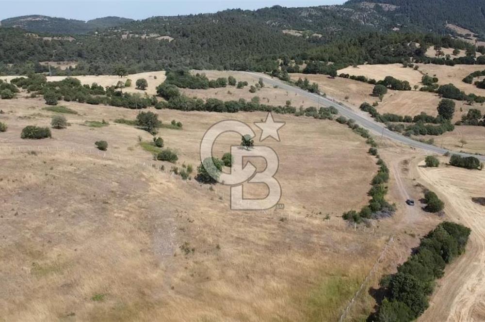 ÇANAKKALE LAPSEKİ HACIGELEN YATIRIMLIK 23.000 M2 TARLA BADEMLİK