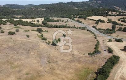 ÇANAKKALE LAPSEKİ HACIGELEN YATIRIMLIK 23.000 M2 TARLA BADEMLİK