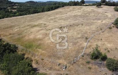 ÇANAKKALE LAPSEKİ HACIGELEN YATIRIMLIK 23.000 M2 TARLA BADEMLİK