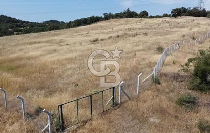 ÇANAKKALE LAPSEKİ HACIGELEN YATIRIMLIK 23.000 M2 TARLA BADEMLİK