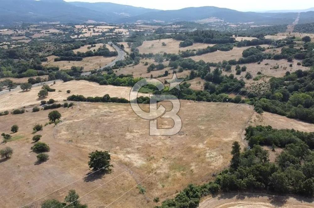 ÇANAKKALE LAPSEKİ HACIGELEN YATIRIMLIK 23.000 M2 TARLA BADEMLİK
