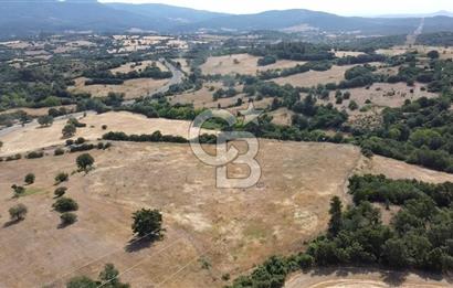 ÇANAKKALE LAPSEKİ HACIGELEN YATIRIMLIK 23.000 M2 TARLA BADEMLİK