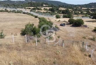 ÇANAKKALE LAPSEKİ HACIGELEN YATIRIMLIK 23.000 M2 TARLA BADEMLİK