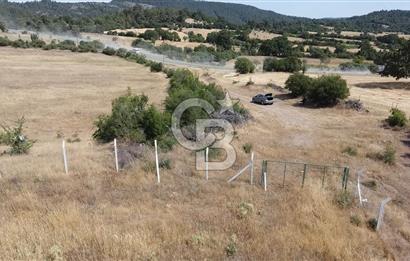 ÇANAKKALE LAPSEKİ HACIGELEN YATIRIMLIK 23.000 M2 TARLA BADEMLİK