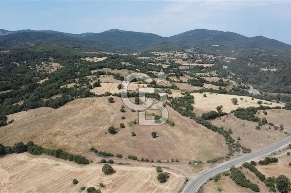 ÇANAKKALE LAPSEKİ HACIGELEN YATIRIMLIK 23.000 M2 TARLA BADEMLİK