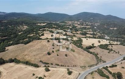 ÇANAKKALE LAPSEKİ HACIGELEN YATIRIMLIK 23.000 M2 TARLA BADEMLİK