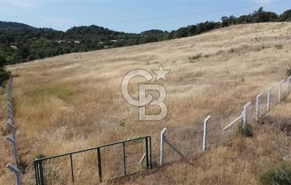 ÇANAKKALE LAPSEKİ HACIGELEN YATIRIMLIK 23.000 M2 TARLA BADEMLİK