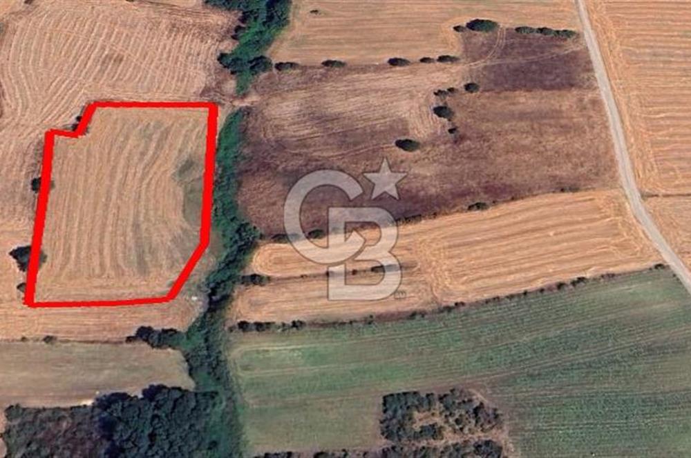 ÇANAKKALE BİGA KEPEKLİ KÖYÜ SATILIK TARLA