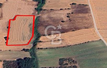 ÇANAKKALE BİGA KEPEKLİ KÖYÜ SATILIK TARLA