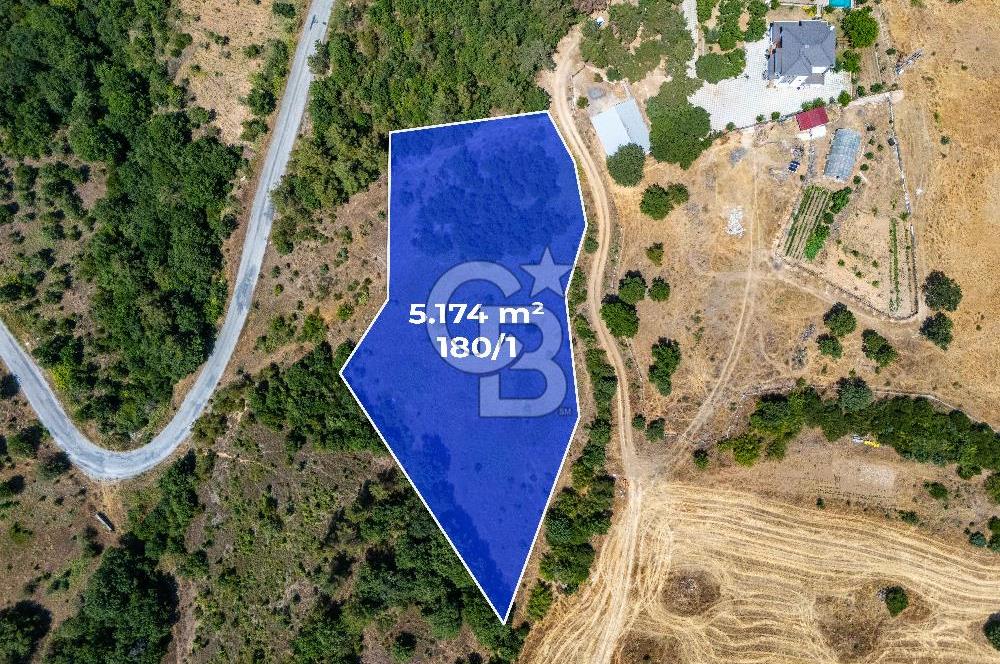 ÇANAKKALE ÇAN TERZİALAN'DA EKOTURİZM İMARLI SATILIK ARSA