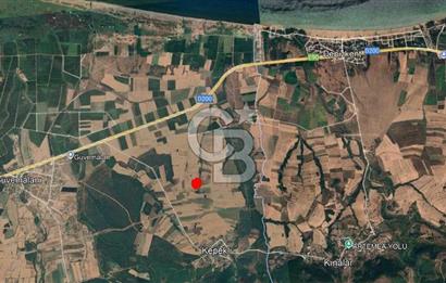 ÇANAKKALE BİGA KEPEKLİ KÖYÜ SATILIK TARLA