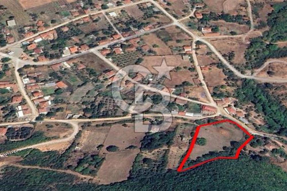 Çanakkale Biga Kepekli Köyü’nde 4.815 m² Köy İçi Arsa – 4.052 m² İmarlı