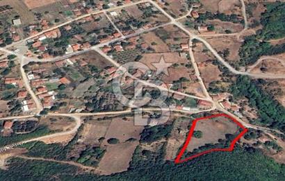 Çanakkale Biga Kepekli Köyü’nde 4.815 m² Köy İçi Arsa – 4.052 m² İmarlı