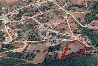 Çanakkale Biga Kepekli Köyü’nde 4.815 m² Köy İçi Arsa – 4.052 m² İmarlı