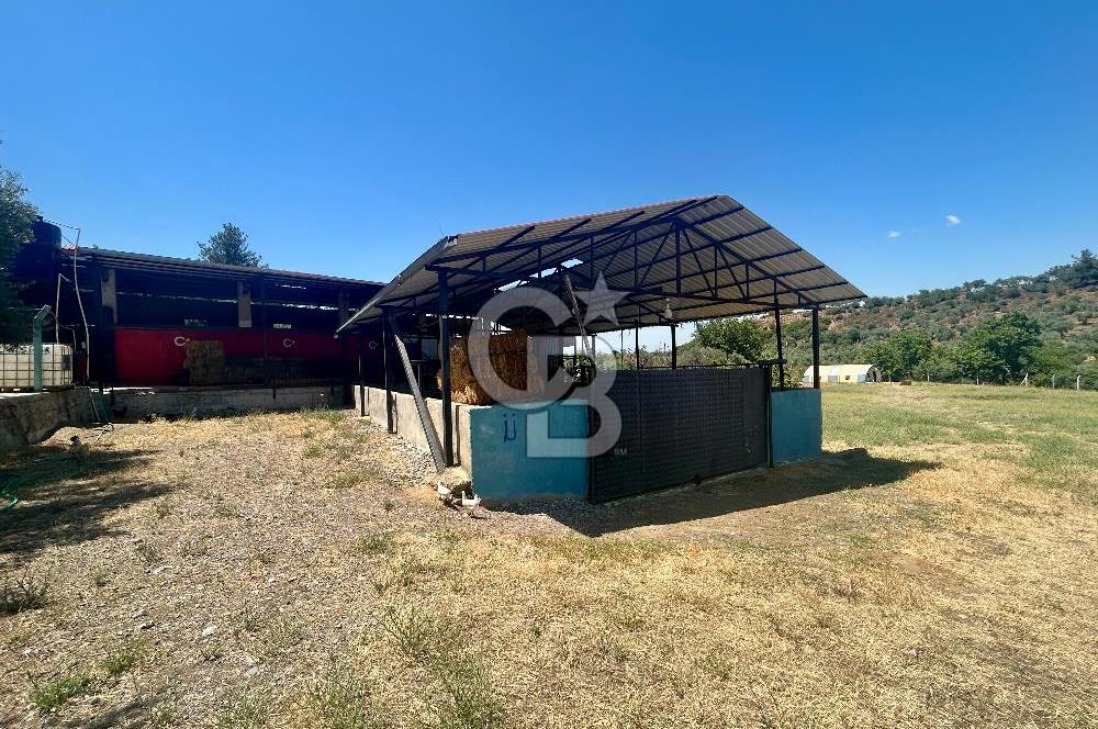 KEMALPAŞA SİNANCILAR’DA SATILIK ÇİFTLİK EVİ