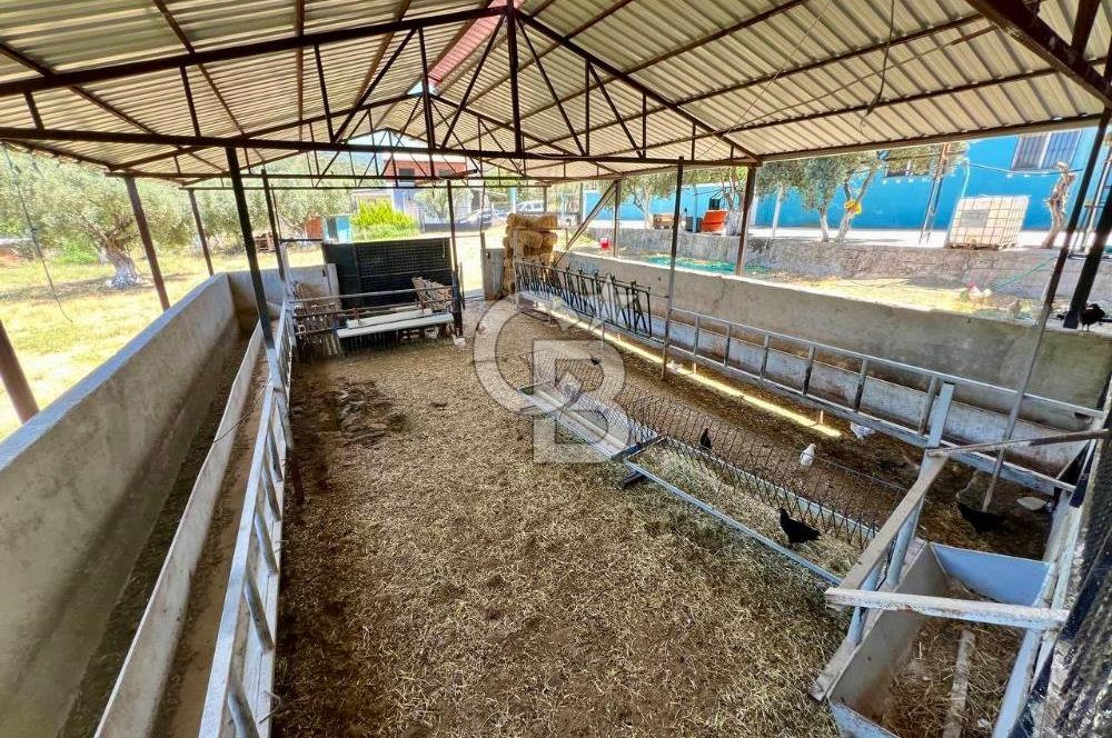 KEMALPAŞA SİNANCILAR’DA SATILIK ÇİFTLİK EVİ