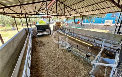 KEMALPAŞA SİNANCILAR’DA SATILIK ÇİFTLİK EVİ