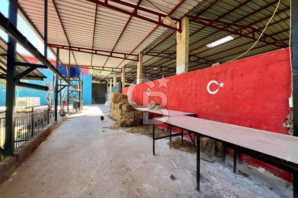 KEMALPAŞA SİNANCILAR’DA SATILIK ÇİFTLİK EVİ