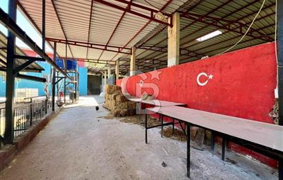 KEMALPAŞA SİNANCILAR’DA SATILIK ÇİFTLİK EVİ