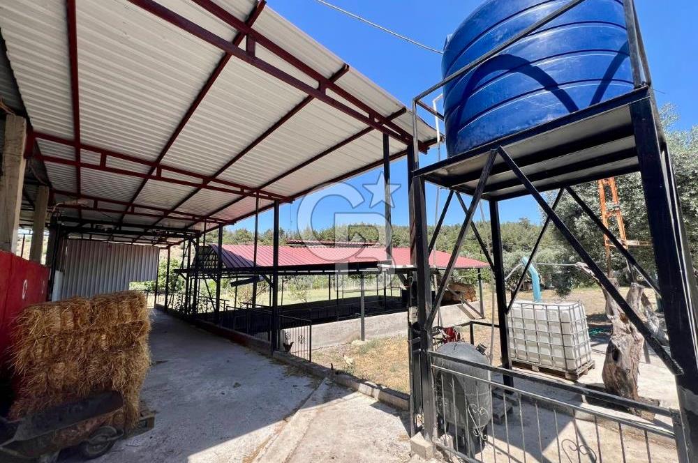 KEMALPAŞA SİNANCILAR’DA SATILIK ÇİFTLİK EVİ