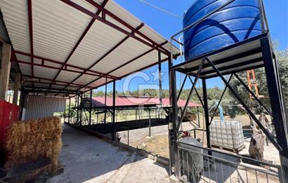 KEMALPAŞA SİNANCILAR’DA SATILIK ÇİFTLİK EVİ