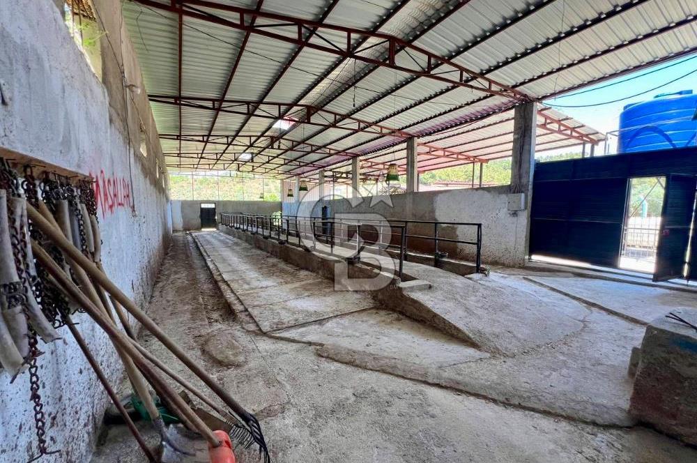 KEMALPAŞA SİNANCILAR’DA SATILIK ÇİFTLİK EVİ