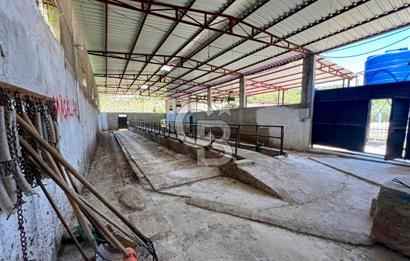 KEMALPAŞA SİNANCILAR’DA SATILIK ÇİFTLİK EVİ