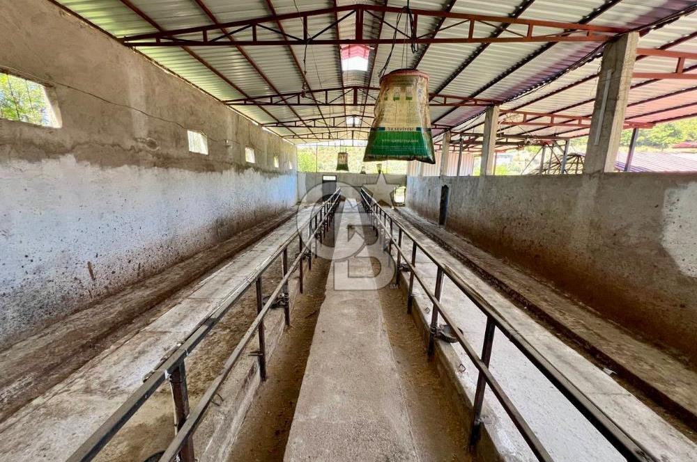 KEMALPAŞA SİNANCILAR’DA SATILIK ÇİFTLİK EVİ