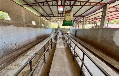 KEMALPAŞA SİNANCILAR’DA SATILIK ÇİFTLİK EVİ