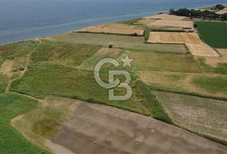 ÇANAKKALE LAPSEKİ ÇARDAK 9410 M2 SATILIK ARAZİ DENİZE 140 M.