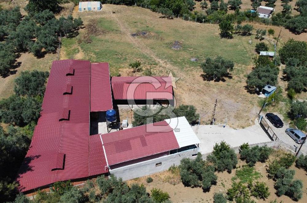 KEMALPAŞA SİNANCILAR’DA SATILIK ÇİFTLİK EVİ