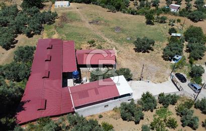 KEMALPAŞA SİNANCILAR’DA SATILIK ÇİFTLİK EVİ