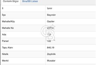 İZMİR BAYINDIR'DA YATIRIM FIRSATI ZEYTİNLİK